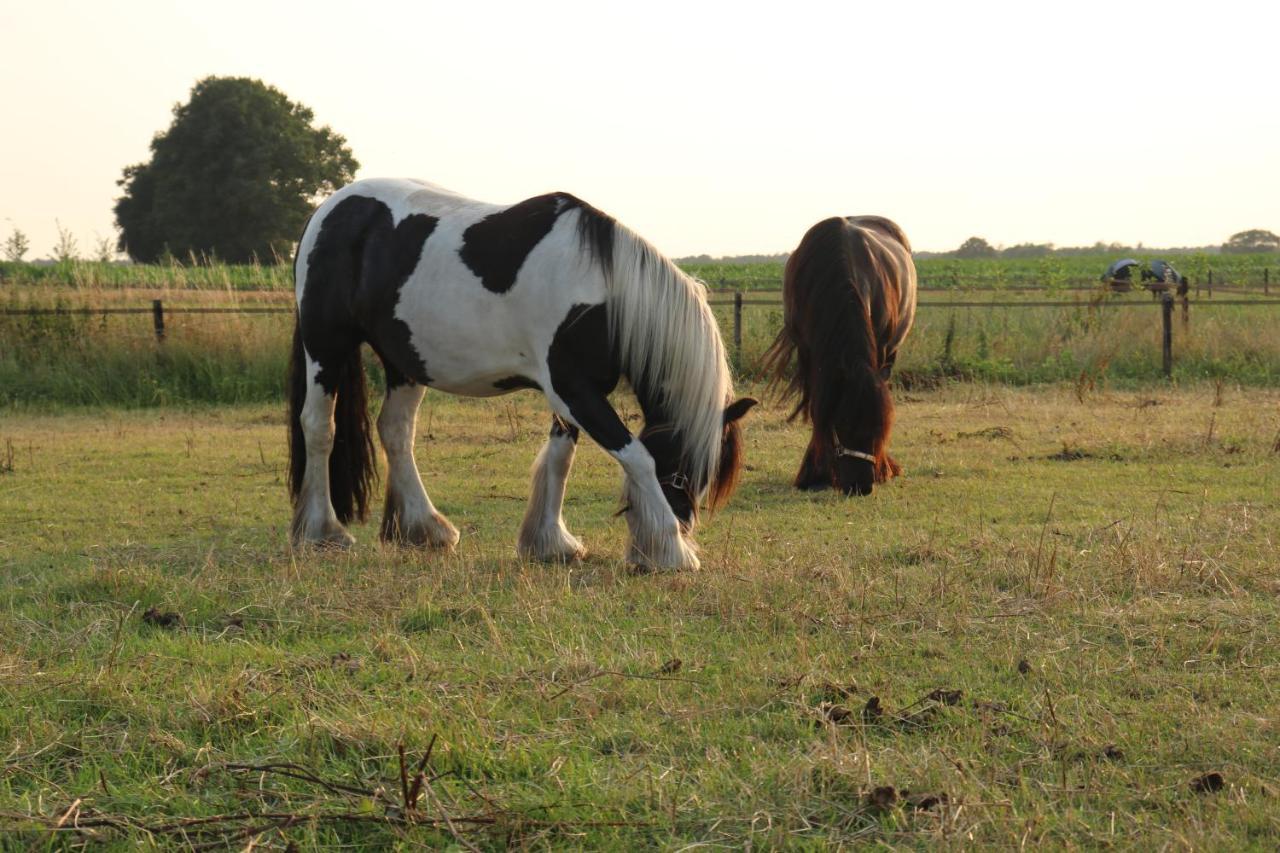 Slapen Tussen De Paarden Ξενοδοχείο Έσσεν Εξωτερικό φωτογραφία